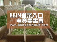 环境展示五