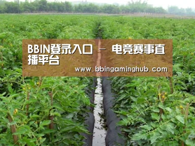 种植基地三