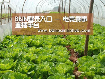 种植基地五