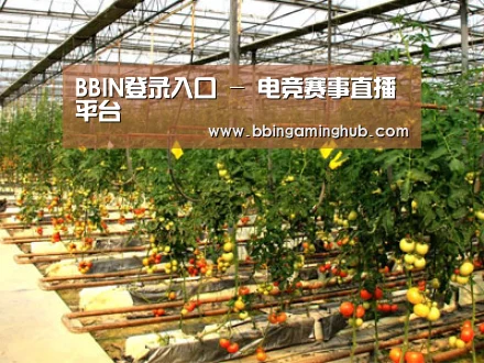种植基地二