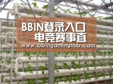 环境展示六